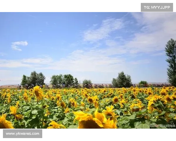 皇藏峪自行车骑游20公里路线探秘符离大道北段风光与沿途特色景点
